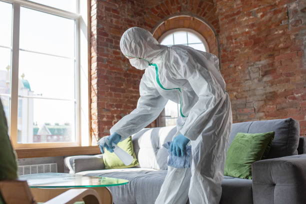 Mold Remediation for Vacation Homes in Kewanee, IL